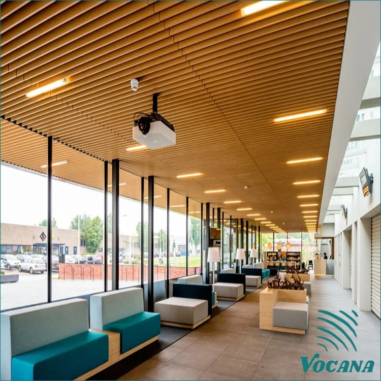 wpc wall ceiling